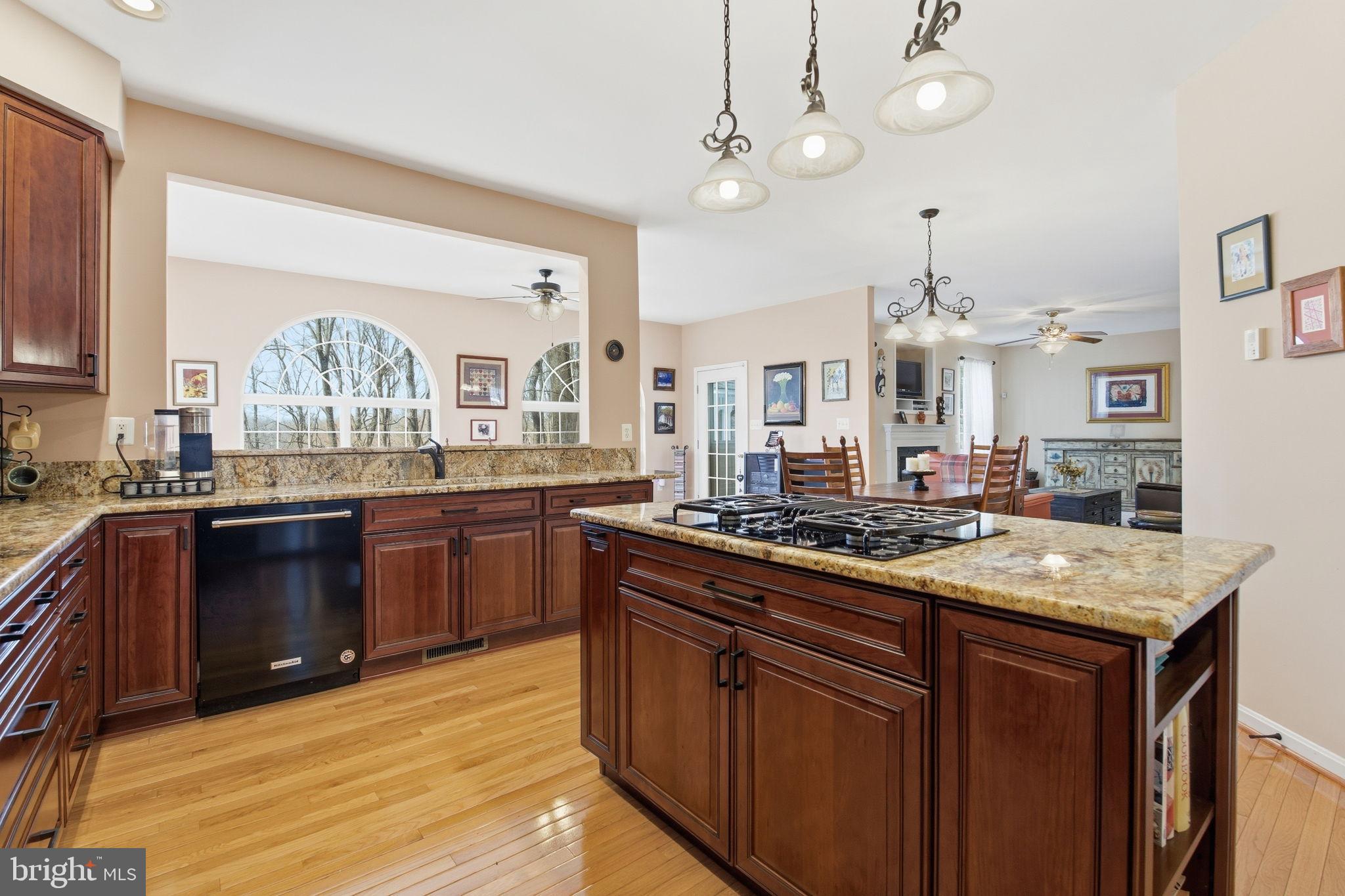 5534 Nutwell Sudley Road Deale, MD 20751 - Photo 9 of 58 Elegant kitchen with rich wood finishes.