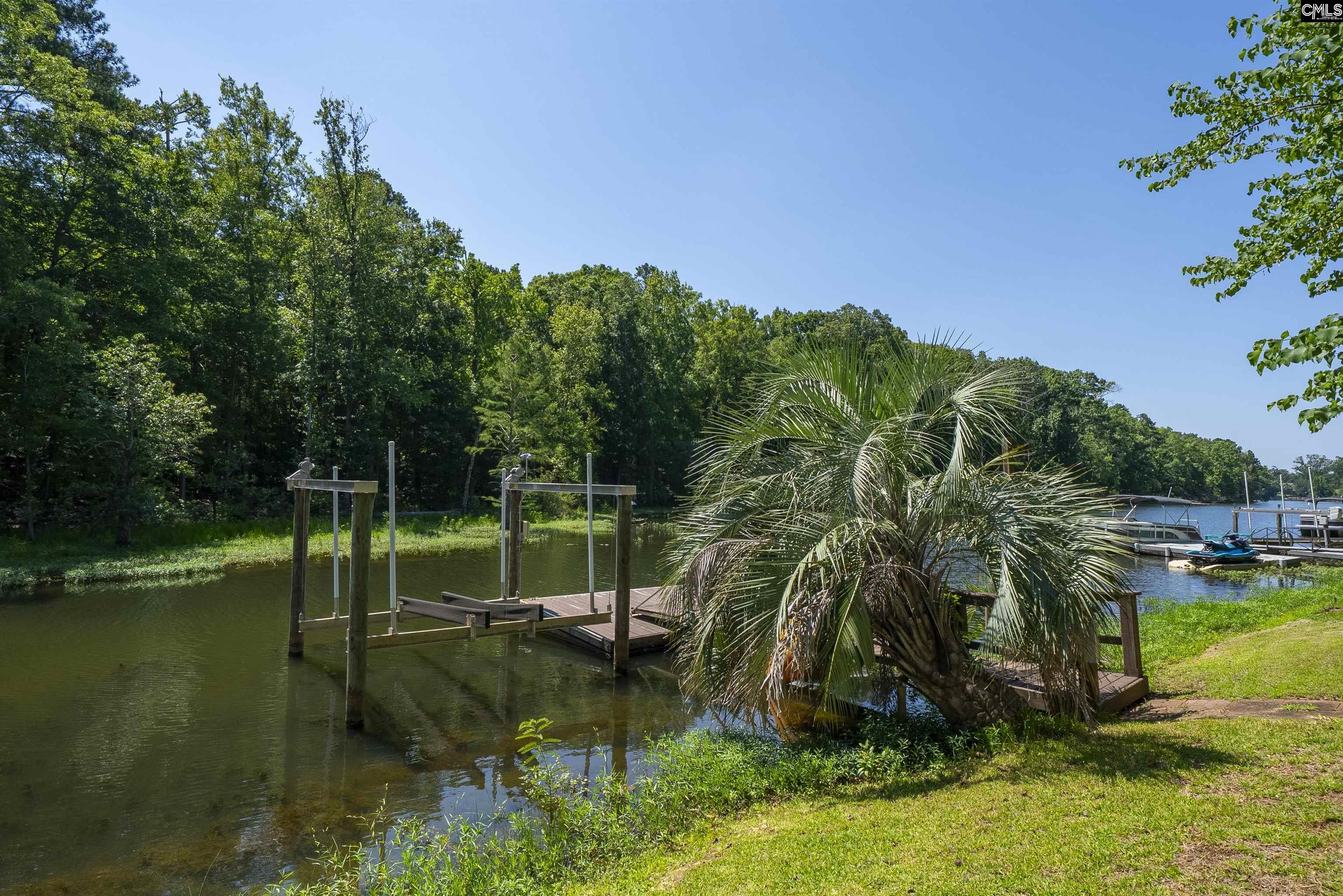 128 Stoney Point Lane Chapin, SC 29036 - Photo 5 of 79