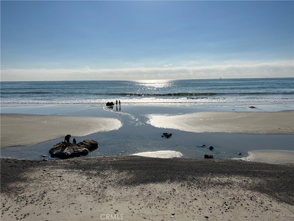 35697 Beach Road Dana Point, CA 92624 - Photo 37 of 62