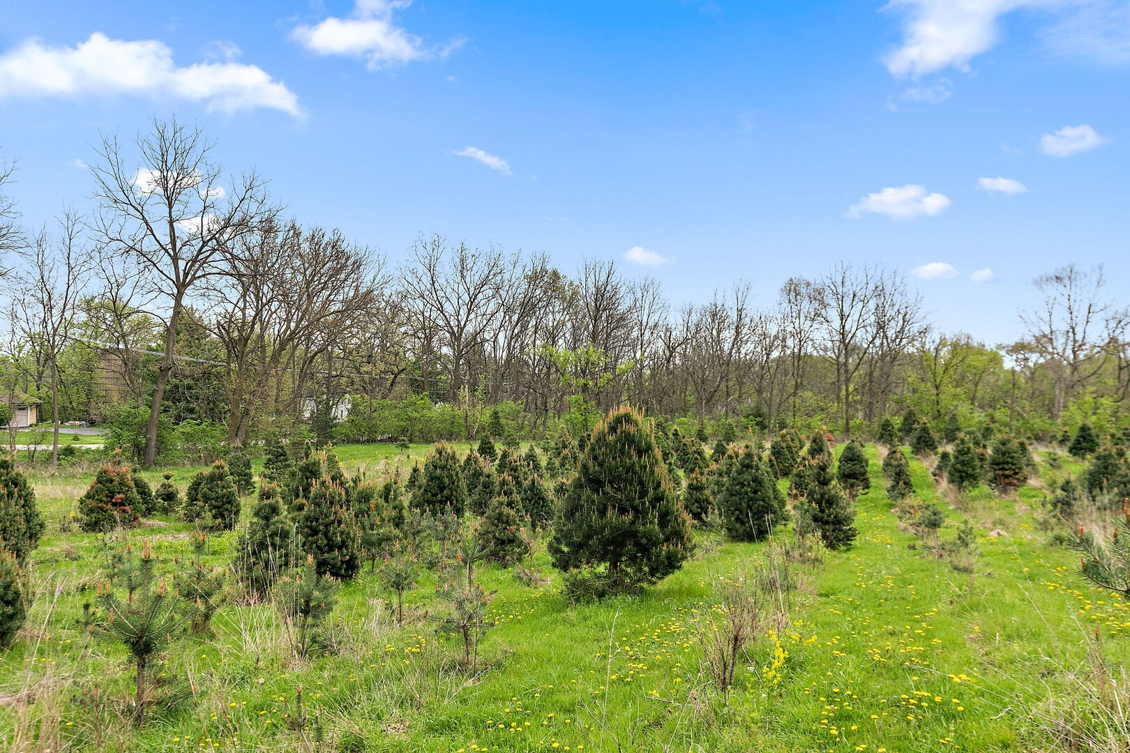 309 Three Oaks Road Cary, IL 60013 - Photo 46 of 62