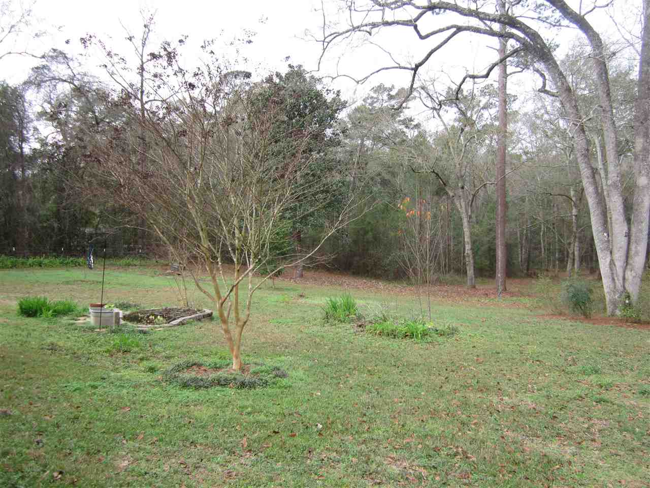 14114 Red Hawk Road Tallahassee, FL 32312 - Photo 5 of 36 Gallery Image 5