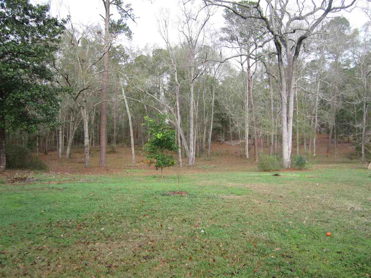 14114 Red Hawk Road Tallahassee, FL 32312 - Photo 6 of 36 Gallery Image 6