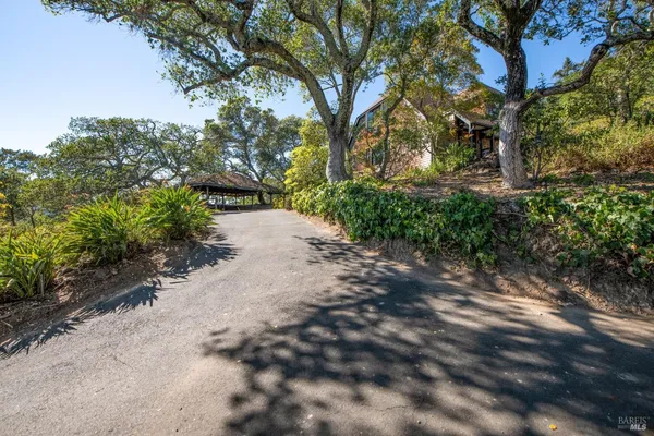 a pathway of a yard