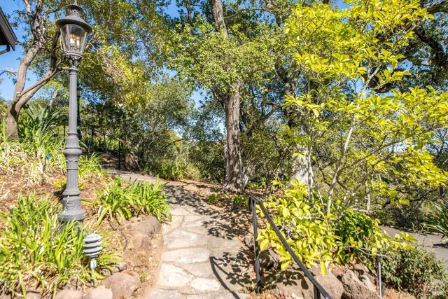 a view of a yard with plants