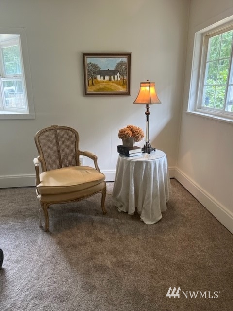 11110 Wagner Road Snohomish, WA 98290 - Photo 11 of 26