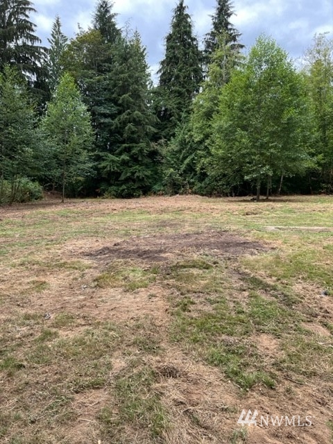 11110 Wagner Road Snohomish, WA 98290 - Photo 22 of 26