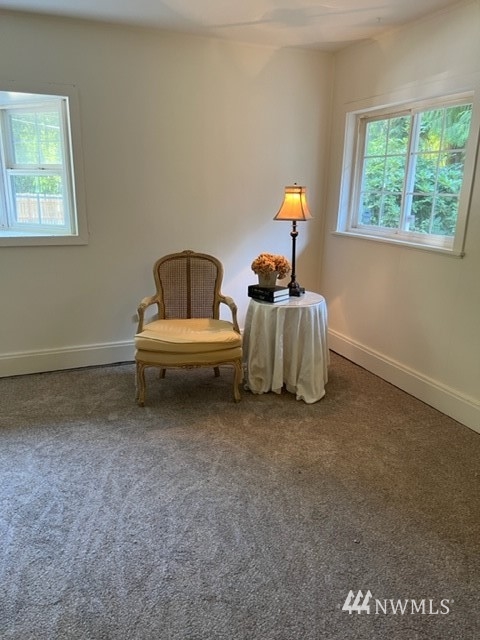 11110 Wagner Road Snohomish, WA 98290 - Photo 9 of 26