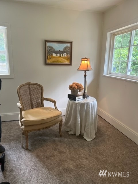 11110 Wagner Road Snohomish, WA 98290 - Photo 10 of 26