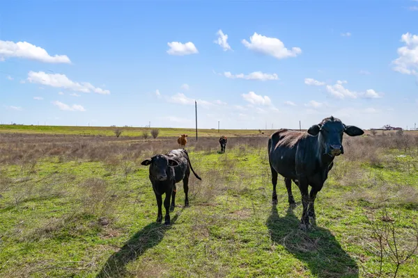 $800,000 | 700 County Road 466, Elgin, TX 78621