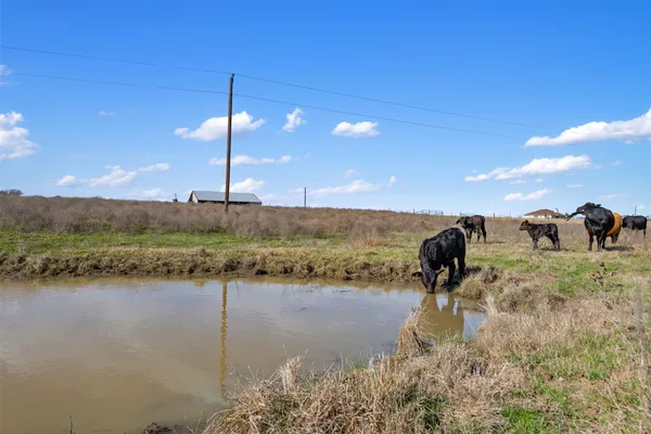 $800,000 | 700 County Road 466, Elgin, TX 78621