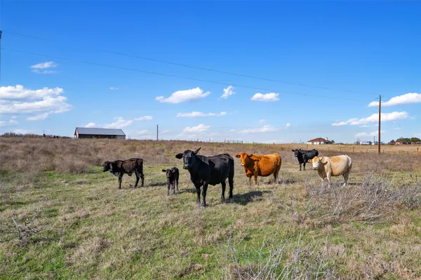 $800,000 | 700 County Road 466, Elgin, TX 78621