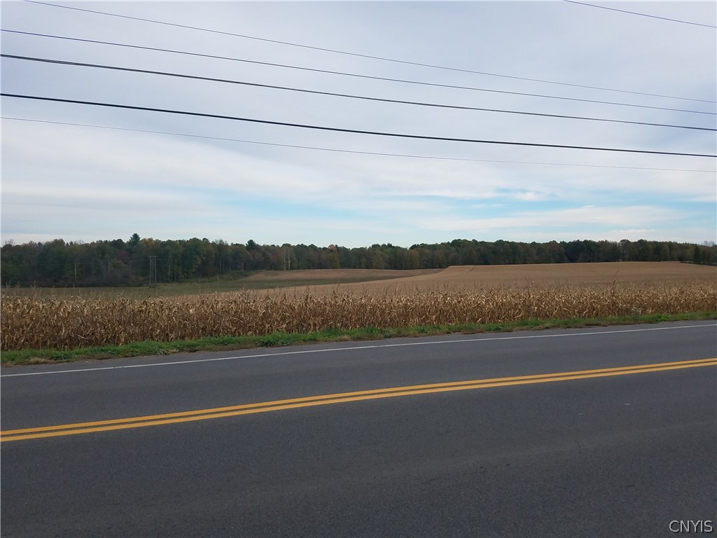 0 County Rte 6 Fulton, NY 13069 - Photo 1 of 1
