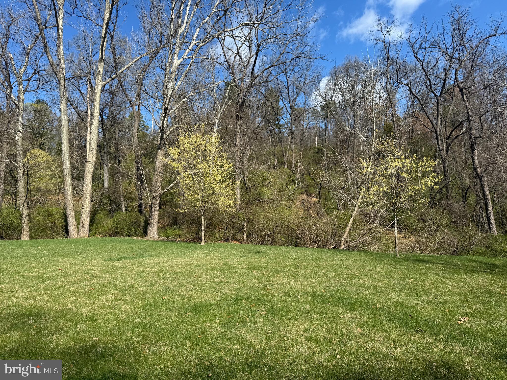 Lot 3 Shady Dell Road York, PA 17403 - Photo 3 of 6 Middle of the lot looking at back of lot