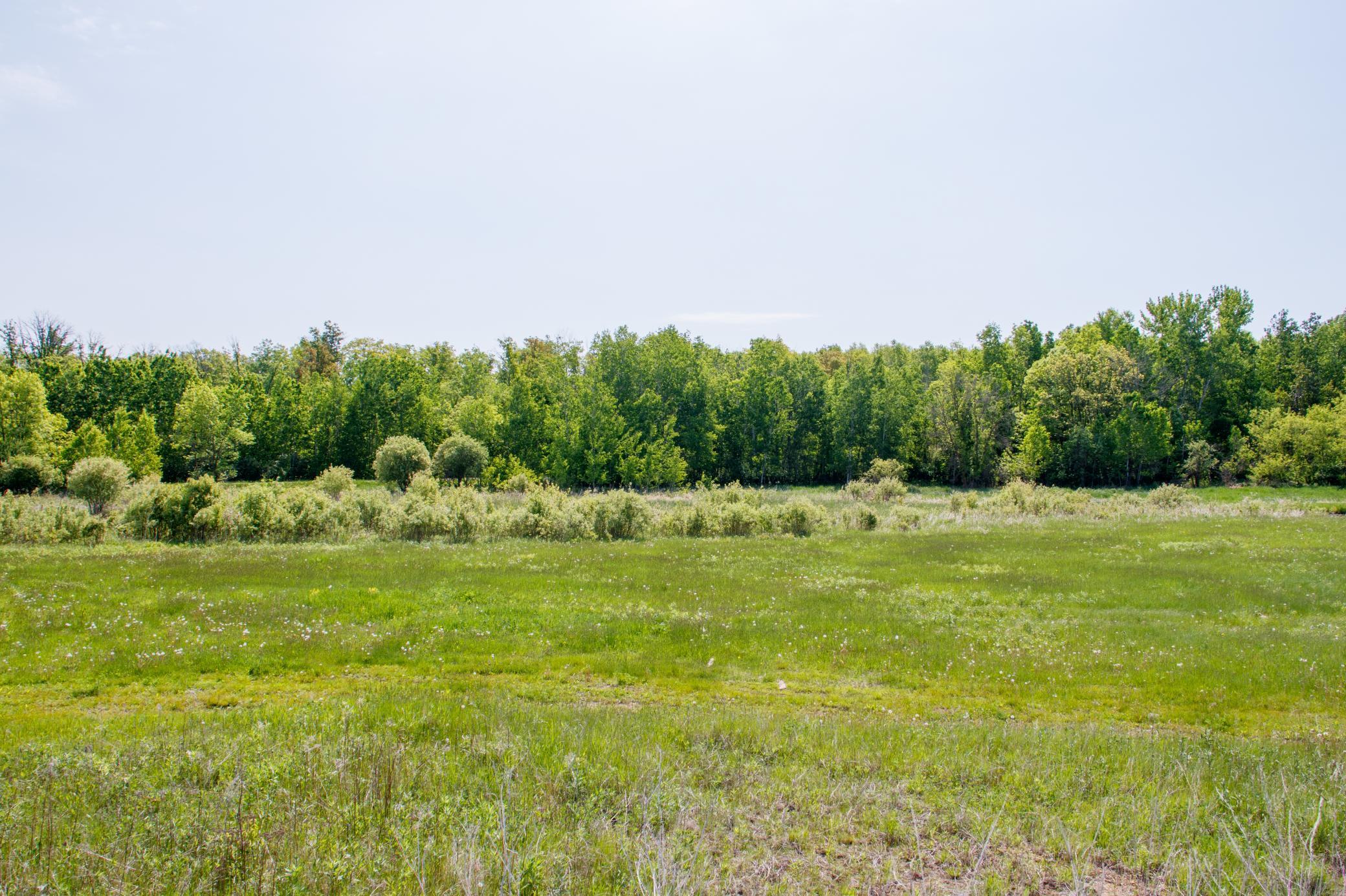 Tbd 225th Avenue Staples, MN 56479 - Photo 14 of 16