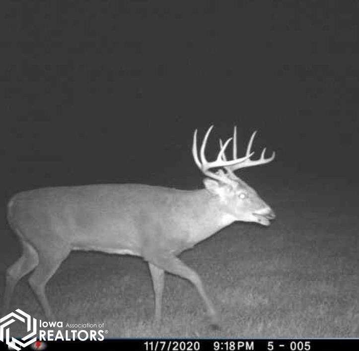 26845 County Road R52 Leon, IA 50144 - Photo 16 of 92 Gallery Image 16