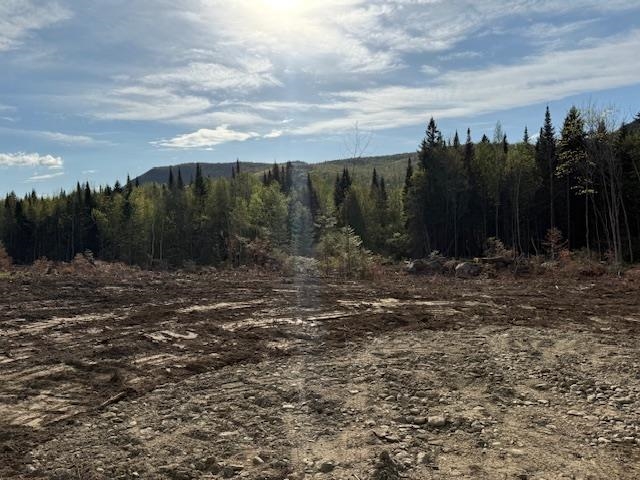 Lot 56.1 Faraway Road Dalton, NH 03598 - Photo 3 of 6