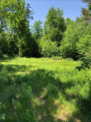 $59,000 | 109 Vt Route, Belvidere Center, VT 05442