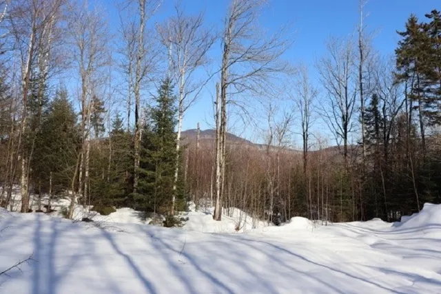 $59,000 | 109 Vt Route, Belvidere Center, VT 05442