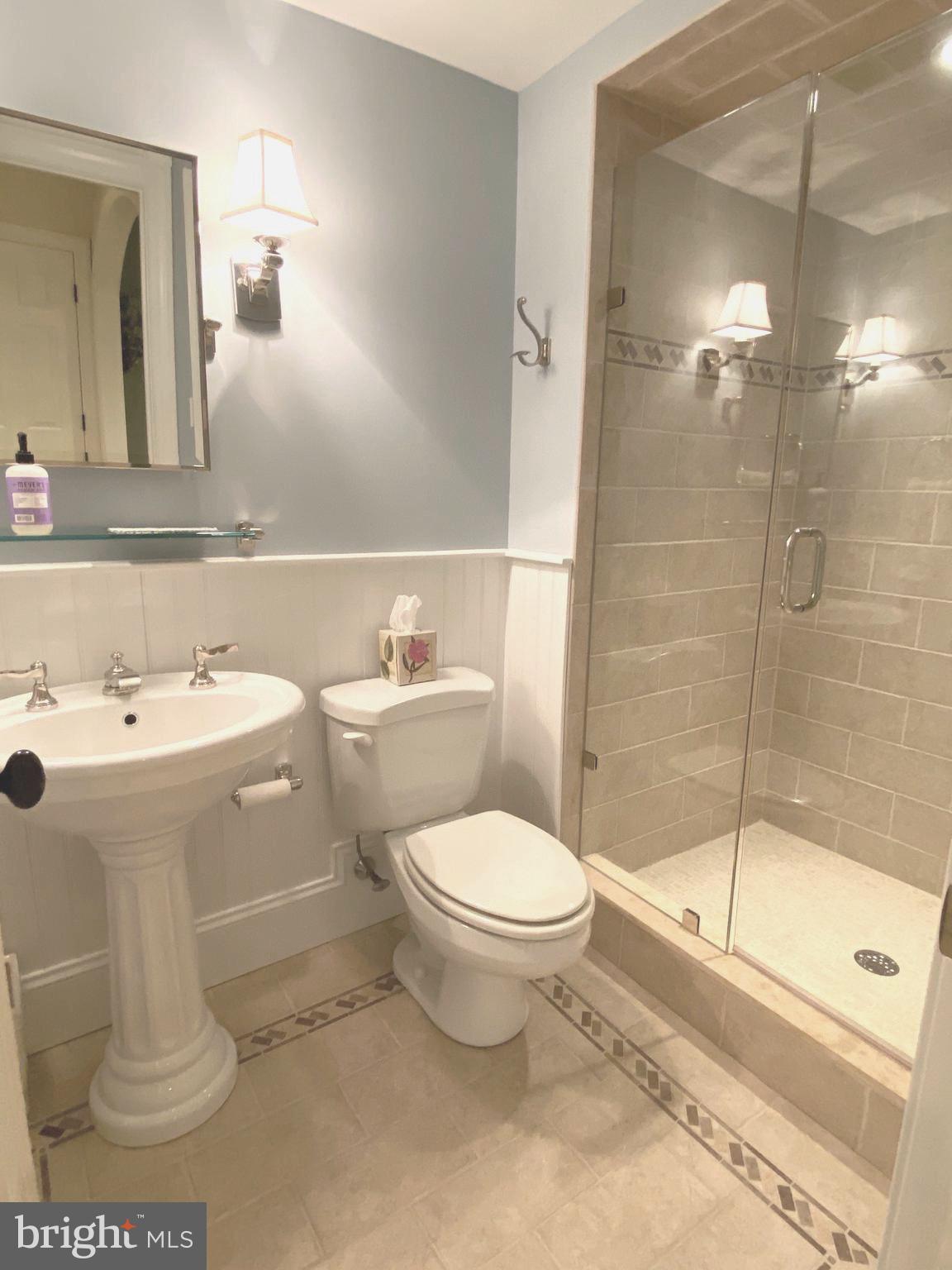 706 Turnbridge Road Wayne, PA 19087 - Photo 58 of 72 Full bath in lower level