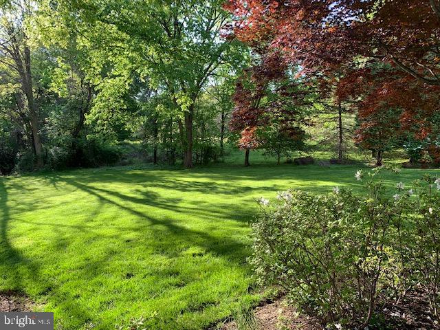 706 Turnbridge Road Wayne, PA 19087 - Photo 65 of 72