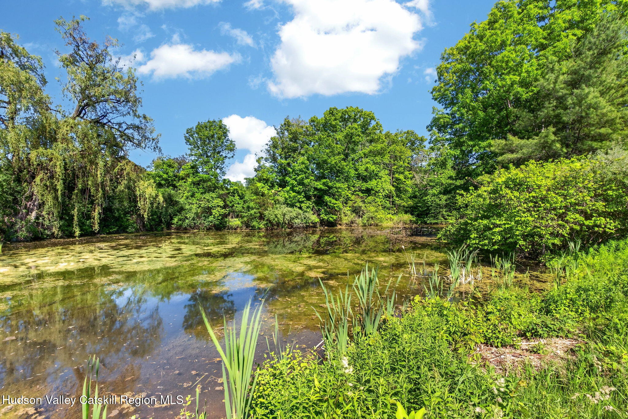 2838 Old Kings Road Catskill, NY 12414 - Photo 44 of 57 91-web-or-mls-2838-old-kings-rd