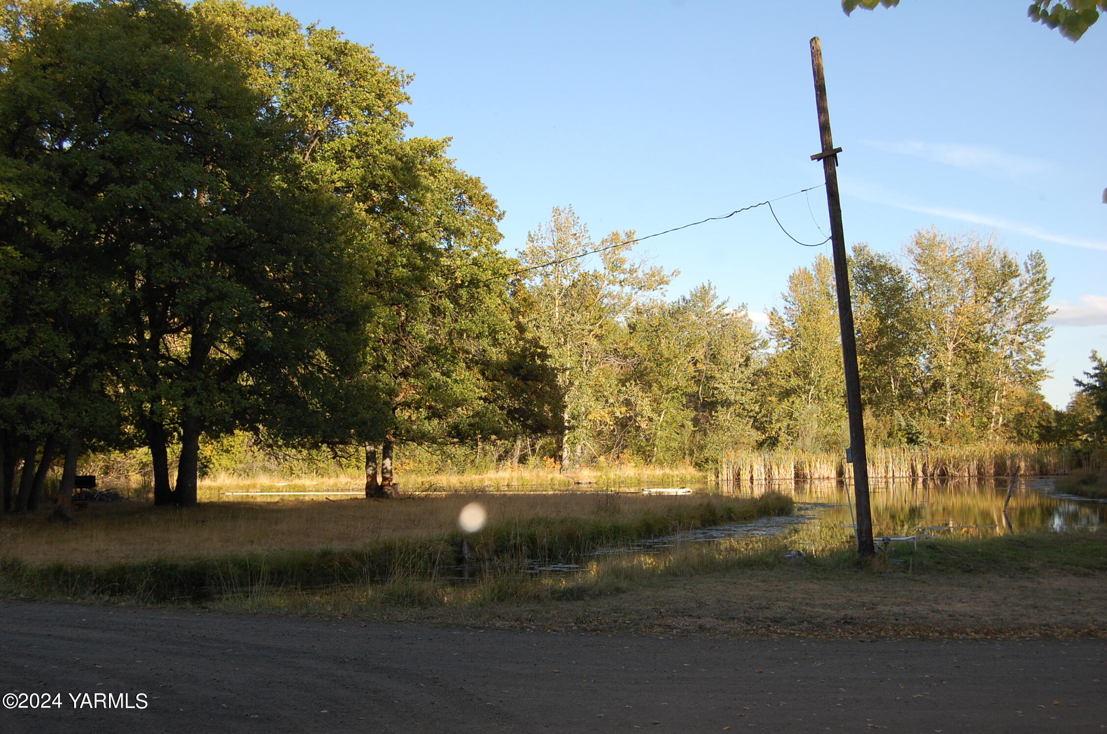 160 Tampico Park Road Yakima, WA 98903 - Photo 22 of 26 a view of a yard with a tree