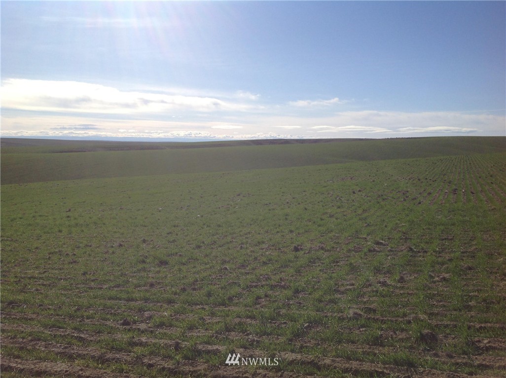 -nsa East Herman Road Lind, WA 99341 - Photo 1 of 4