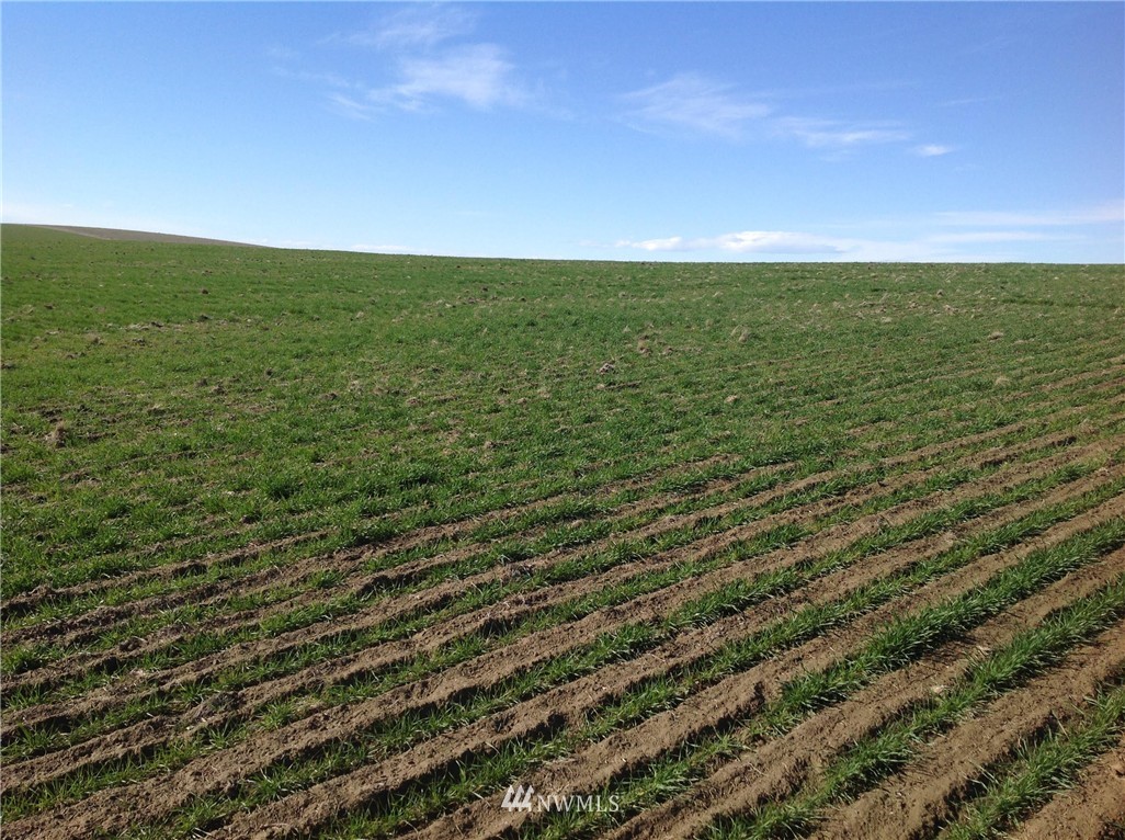 -nsa East Herman Road Lind, WA 99341 - Photo 2 of 4