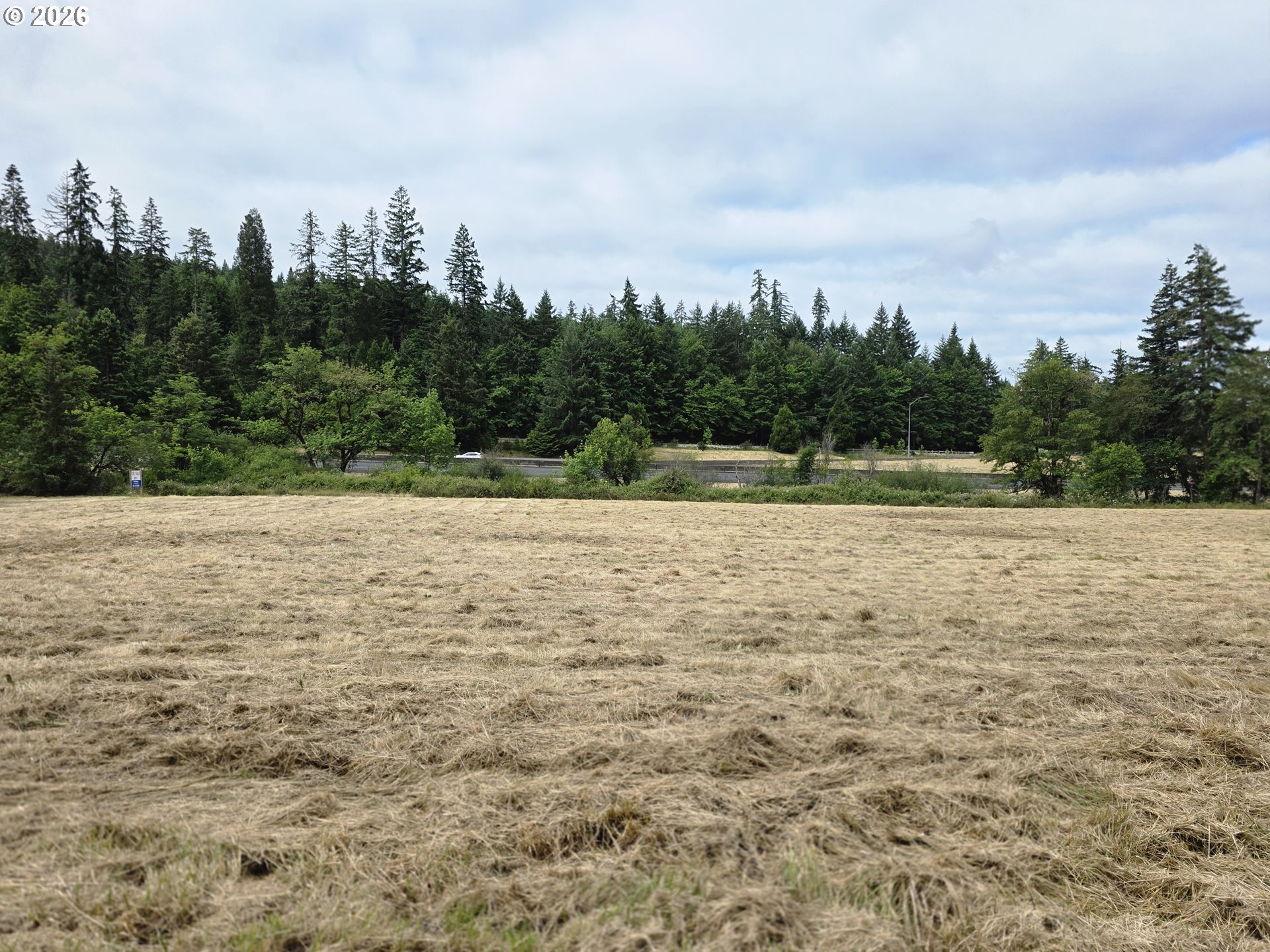 920 Buck Creek Road Drain, OR 97435 - Photo 6 of 18