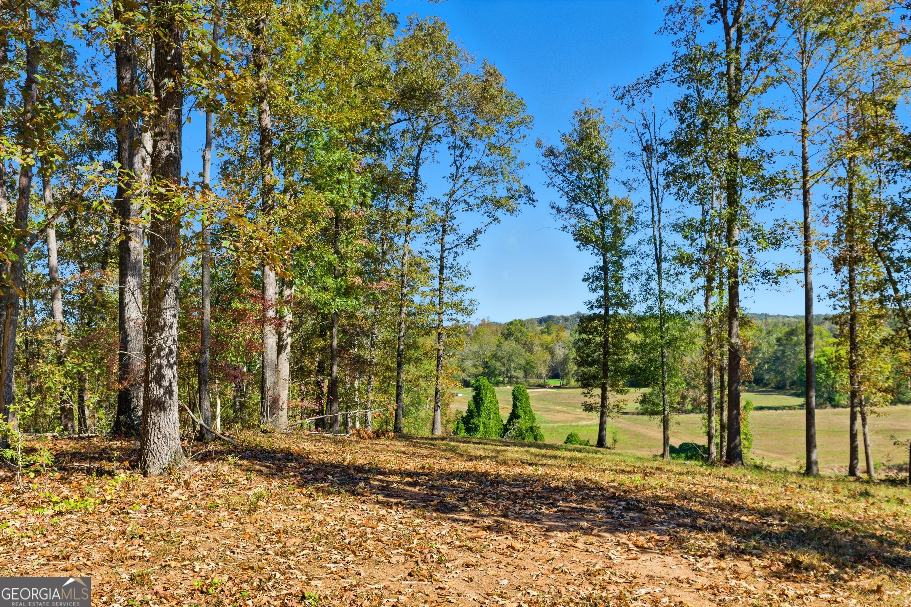 0 Broad River Road Eastanollee, GA 30538 - Photo 2 of 5 a view of a yard with plants