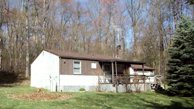 Main View
