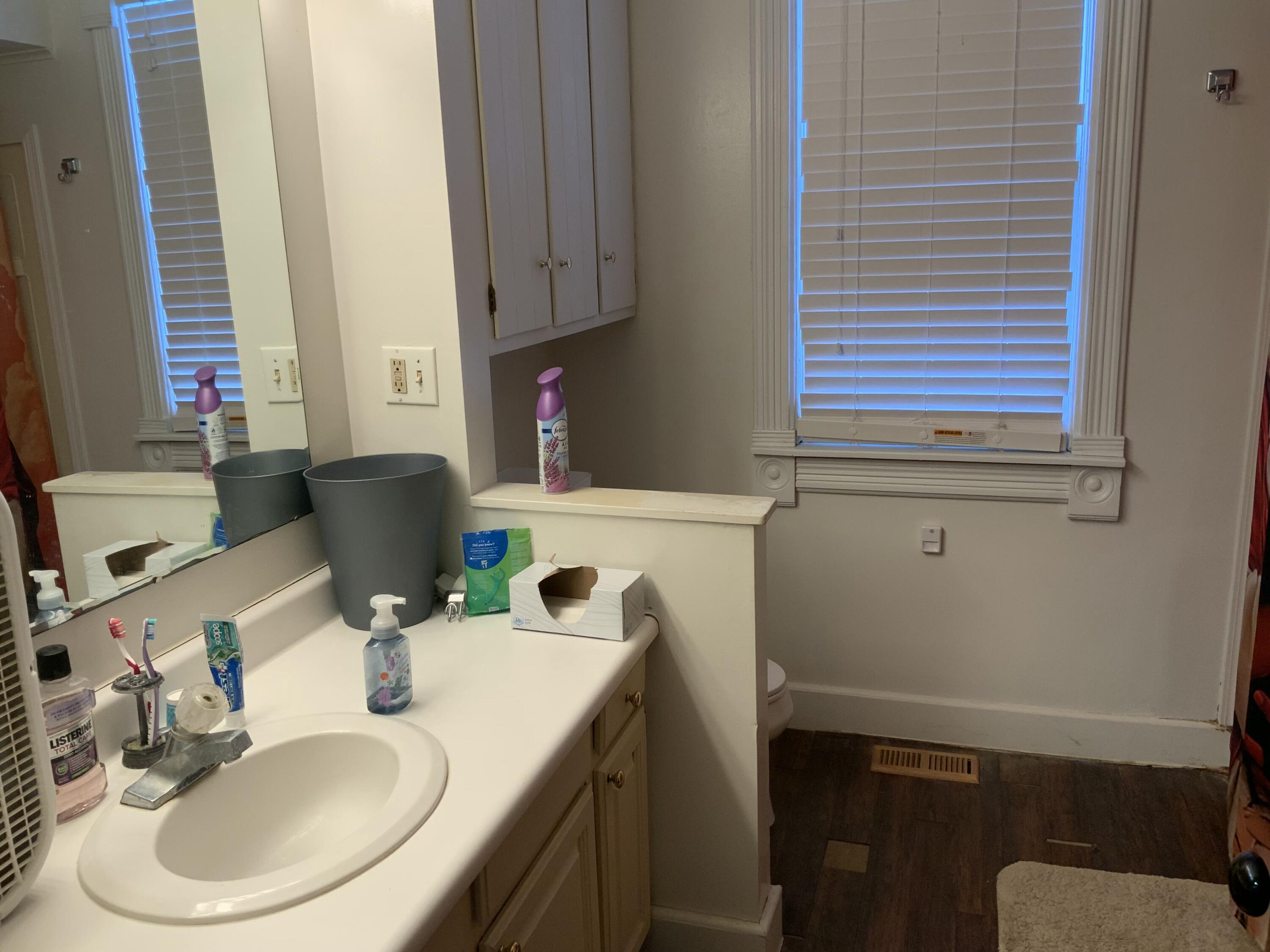 119 Locust Street Clinton, MI 49236 - Photo 6 of 13 tempImagemb9Guk