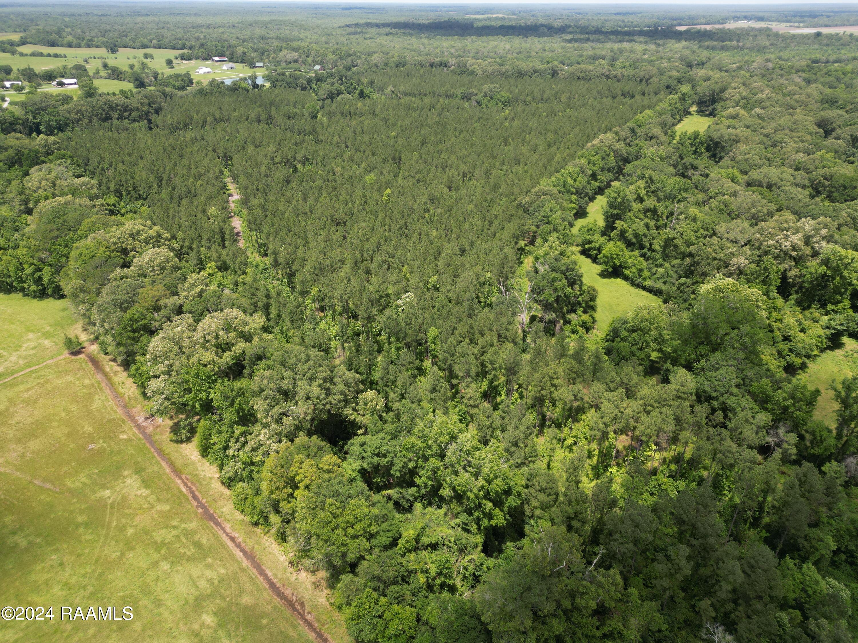 0 Herbert Ortego Road Washington, LA 70589 - Photo 16 of 18