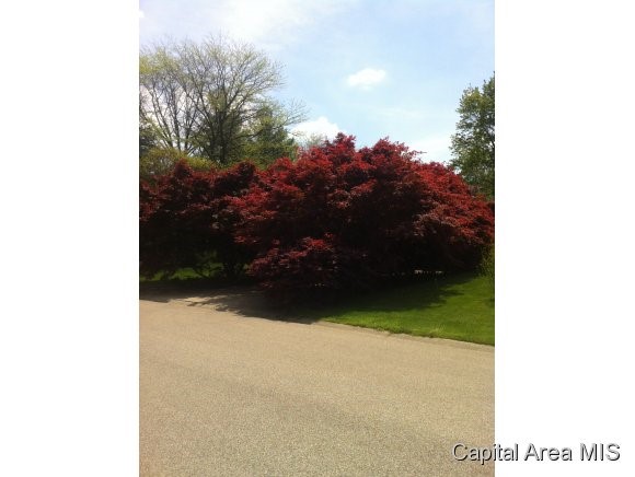 39 Frontier Lake Drive Springfield, IL 62707 - Photo 15 of 15