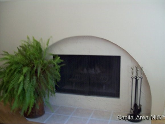 39 Frontier Lake Drive Springfield, IL 62707 - Photo 6 of 15
