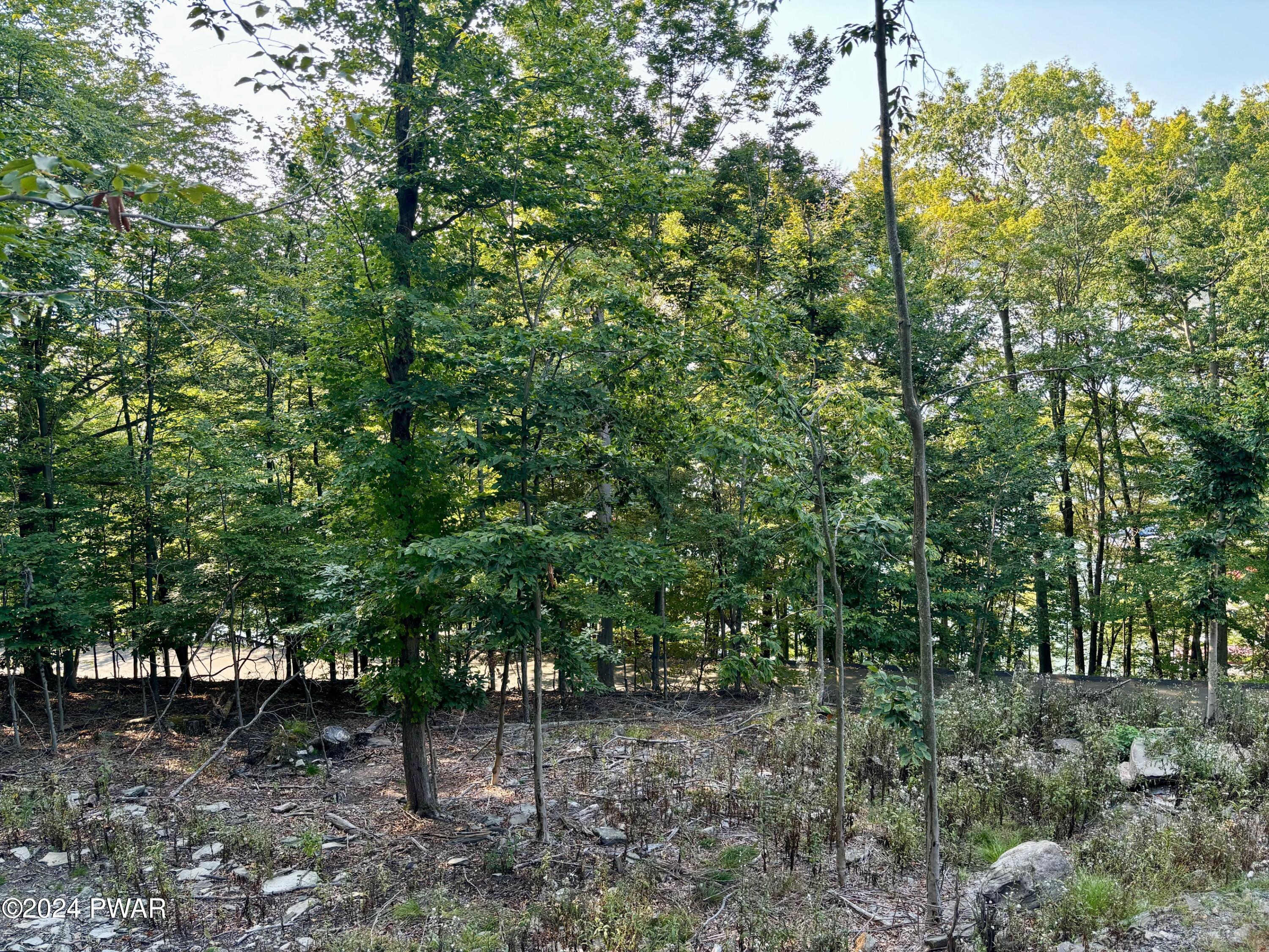 4 Boat House Road Lake Ariel, PA 18436 - Photo 4 of 13