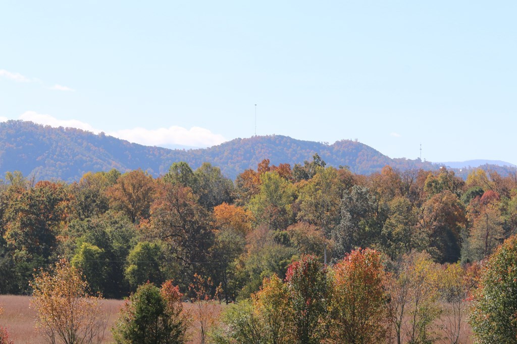 804 Harrisburg Road Sevierville, TN 37876 - Photo 8 of 30 Gallery Image 8