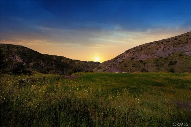 a view of a lush green space with sea