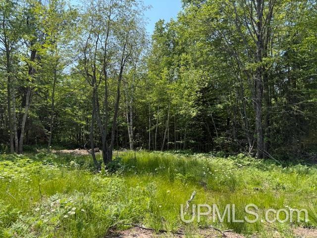 8690 Freda Road Atlantic Mine, MI 49905 - Photo 22 of 23 Gallery Image 22