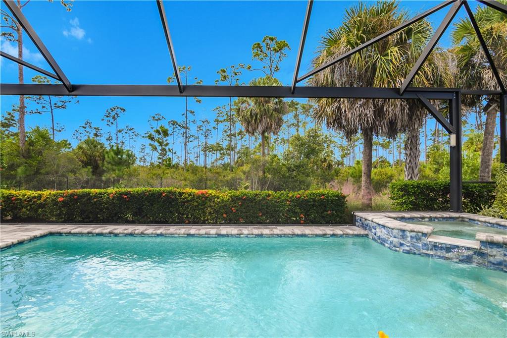19040 Marquesa Drive Fort Myers, FL 33913 - Photo 30 of 50 Luxurious heated salt water pool and spa surrounded by lush tropical landscaping.