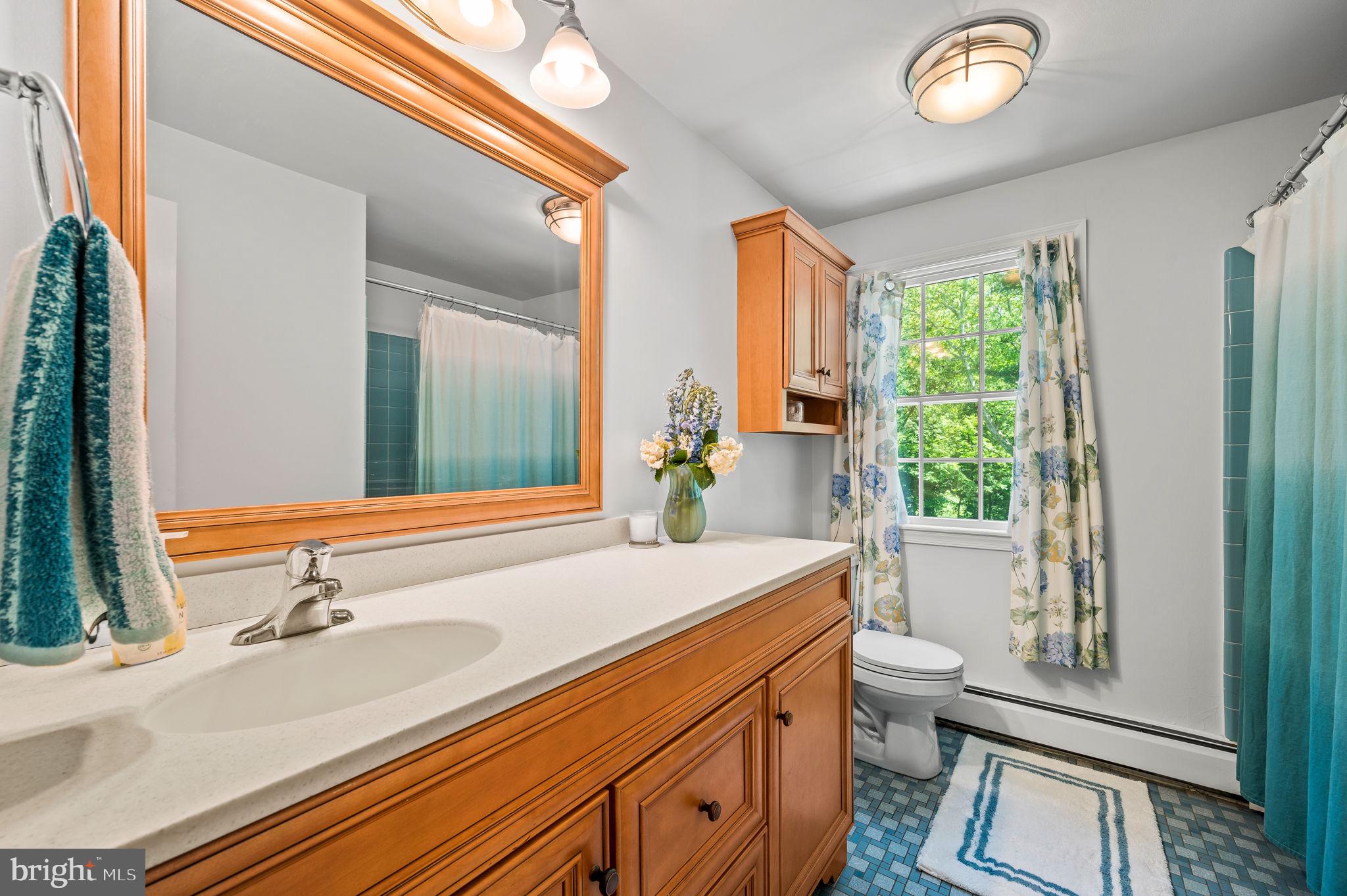 11 Buttonwood Way Rose Valley, PA 19063 - Photo 26 of 65 Hall bath