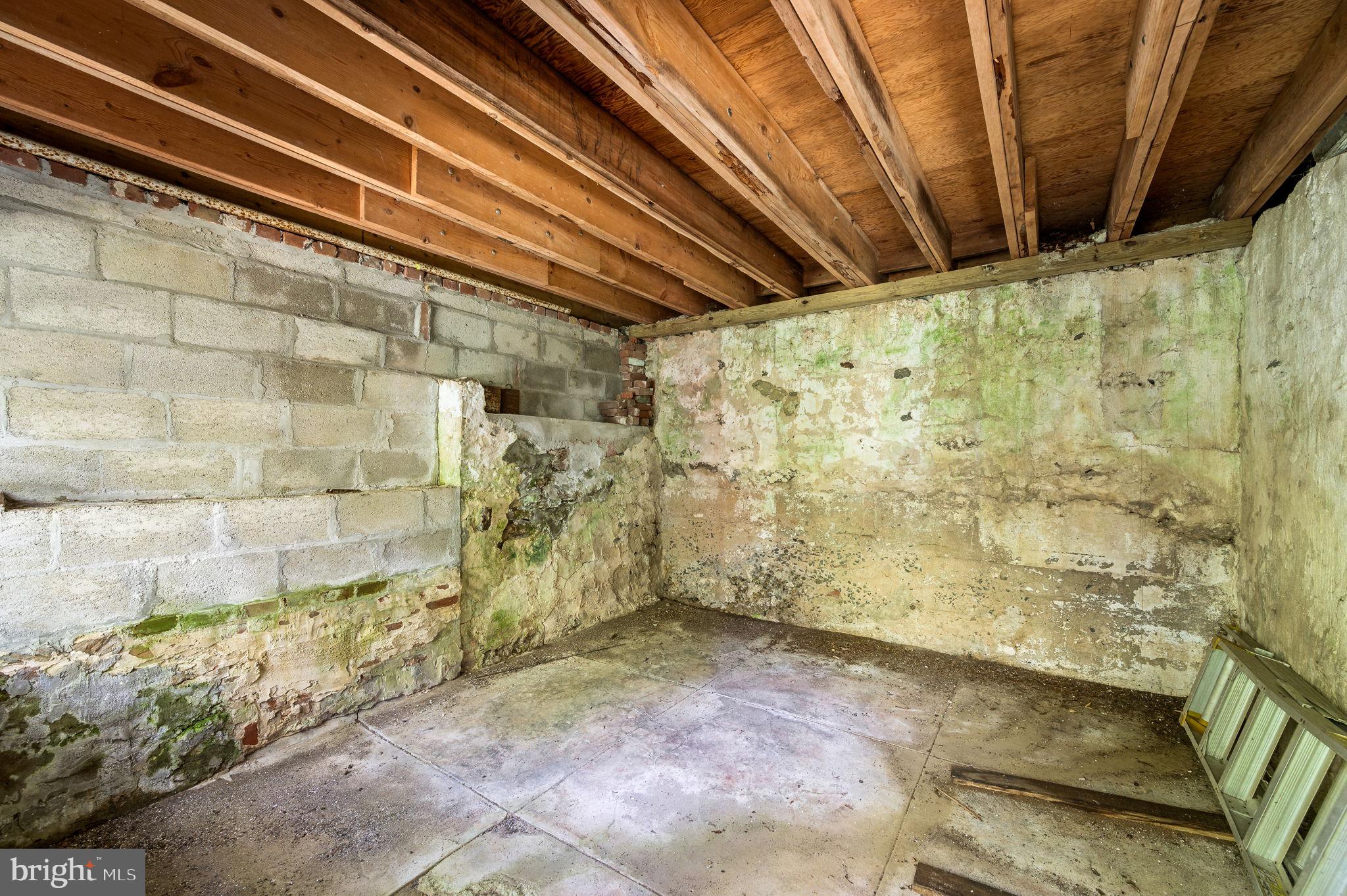 11 Buttonwood Way Rose Valley, PA 19063 - Photo 44 of 65 Lower level of shed