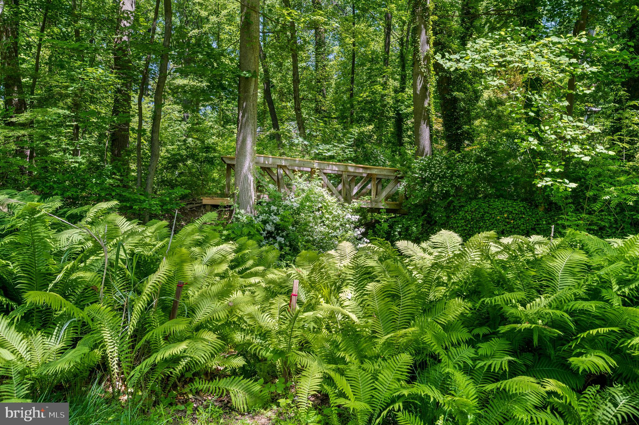 11 Buttonwood Way Rose Valley, PA 19063 - Photo 46 of 65 Bridge on the Septa path leading RV landmarks