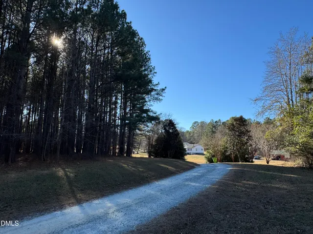 a view of a yard with plants
