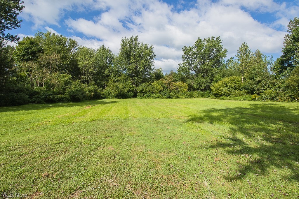 5160 Lane Road Painesville, OH 44077 - Photo 10 of 20 Park like back yard
