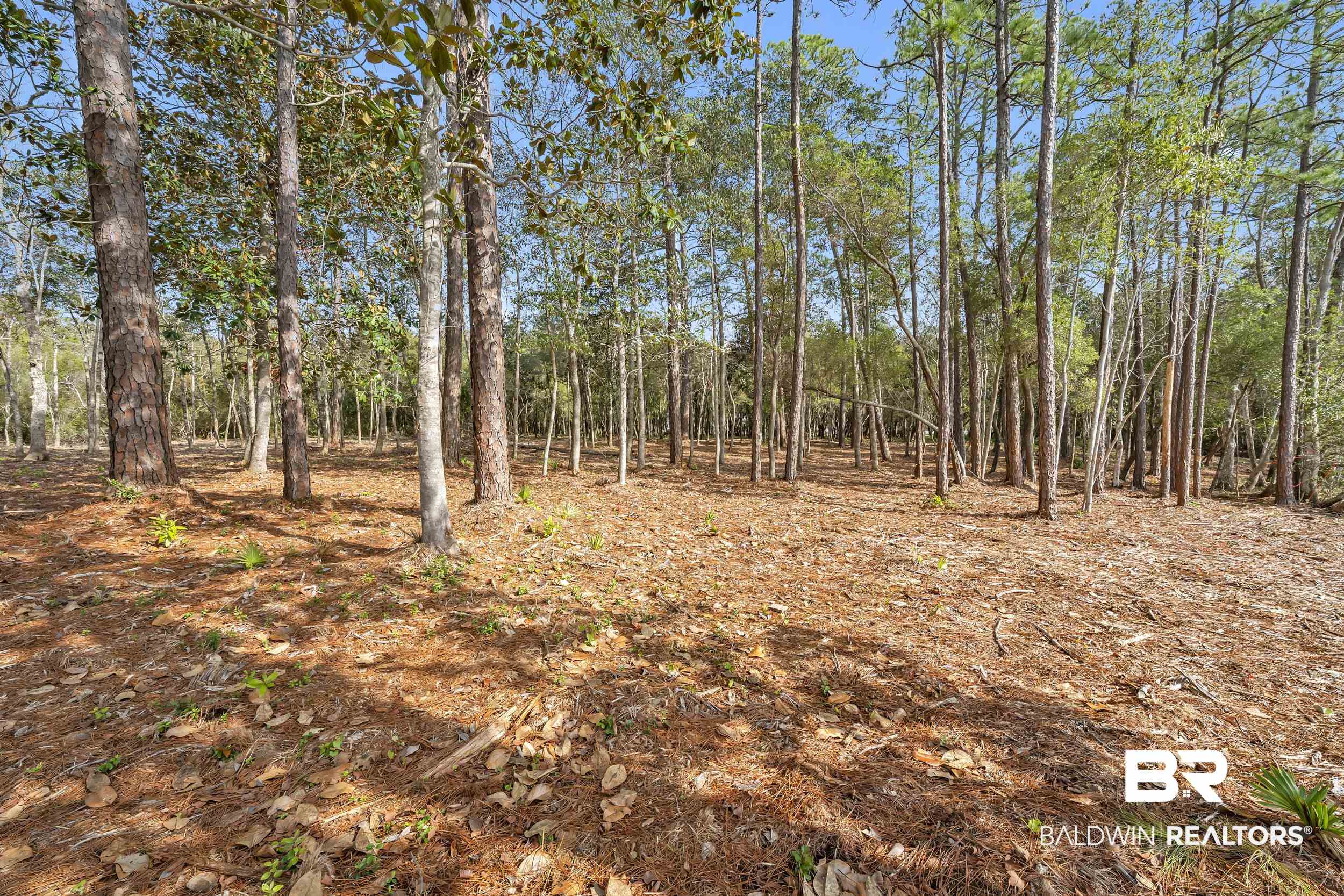 0 County Road 97 Elberta, AL 36530 - Photo 6 of 29 View of woods