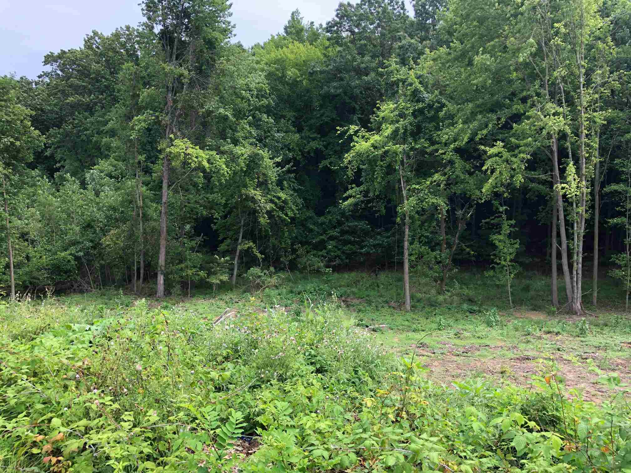 50890 Summit Ridge Trail South Bend, IN 46628 - Photo 2 of 17
