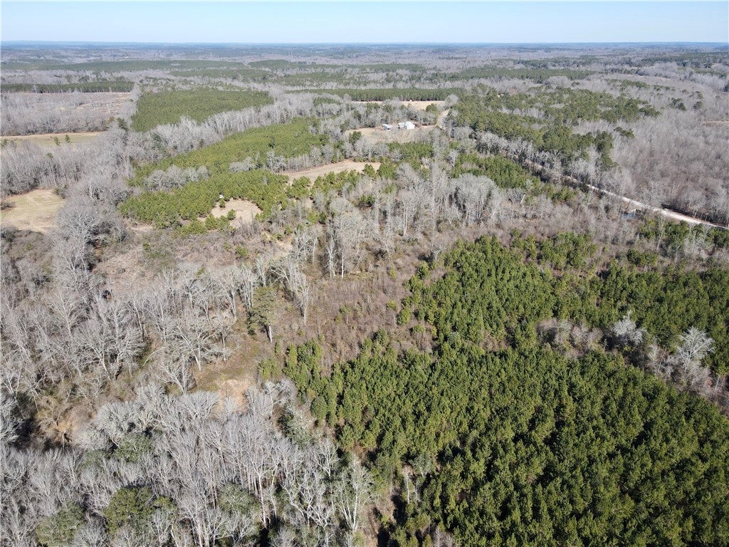 0 Brazell Road Camp Hill, AL 36850 - Photo 17 of 24 Gallery Image 17