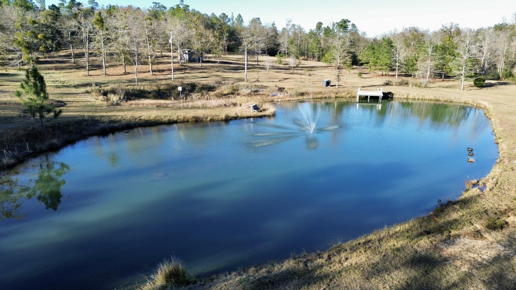12340 Tall Pine Road Bay Minette, AL 36507 - Photo 8 of 50