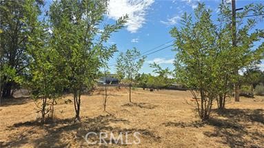 810 Roe Road Paradise, CA 95969 - Photo 6 of 9